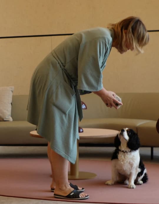 Mujer enseña truco a su perro