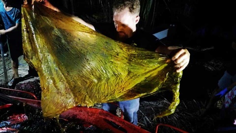 Hallan en Filipinas una ballena muerta con 40 kilos de plástico en el estómago