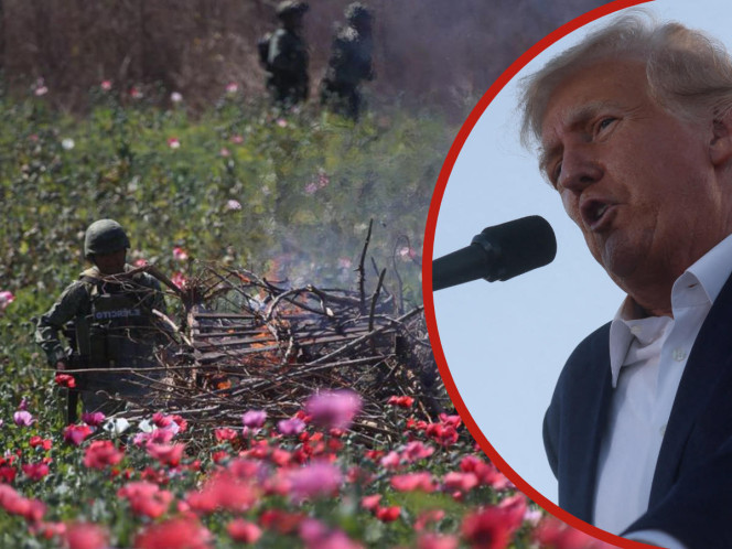 Trump analiza \'atacar\' México para combatir al narcotráfico si es reelecto: medios. Noticias en tiempo real